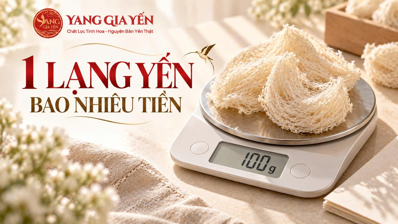 1 lạng yến bao nhiêu tiền 1 lạng yến bao nhiêu tiền