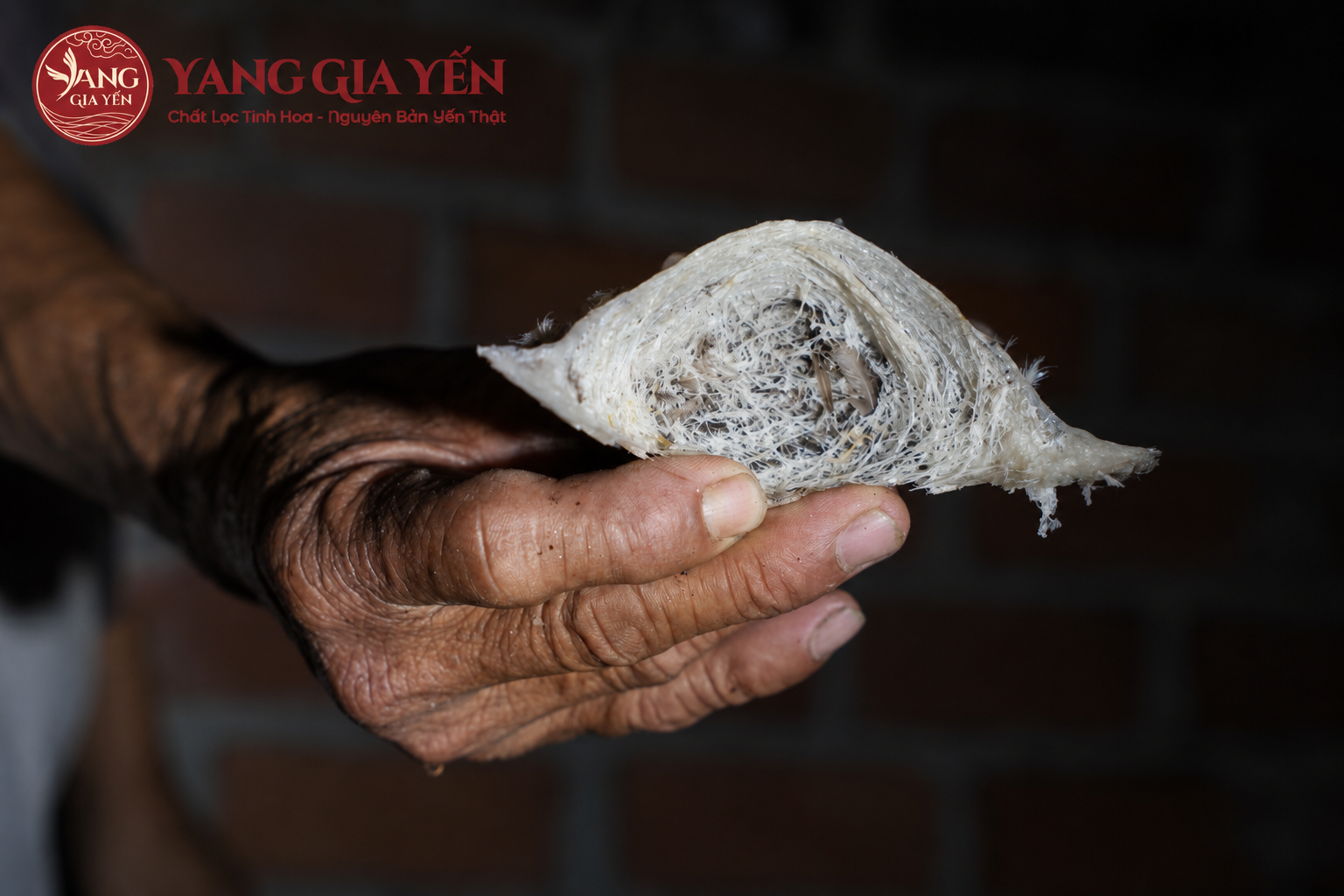Tuyển chọn nguyên liệu