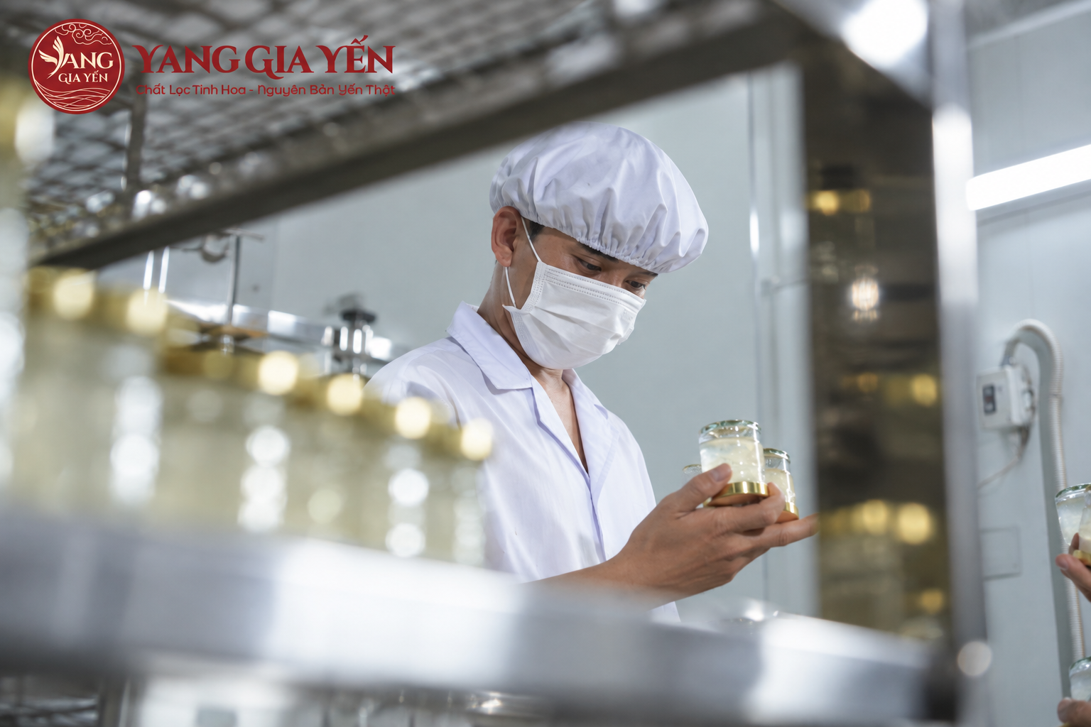 Chế biến sản phẩm yến