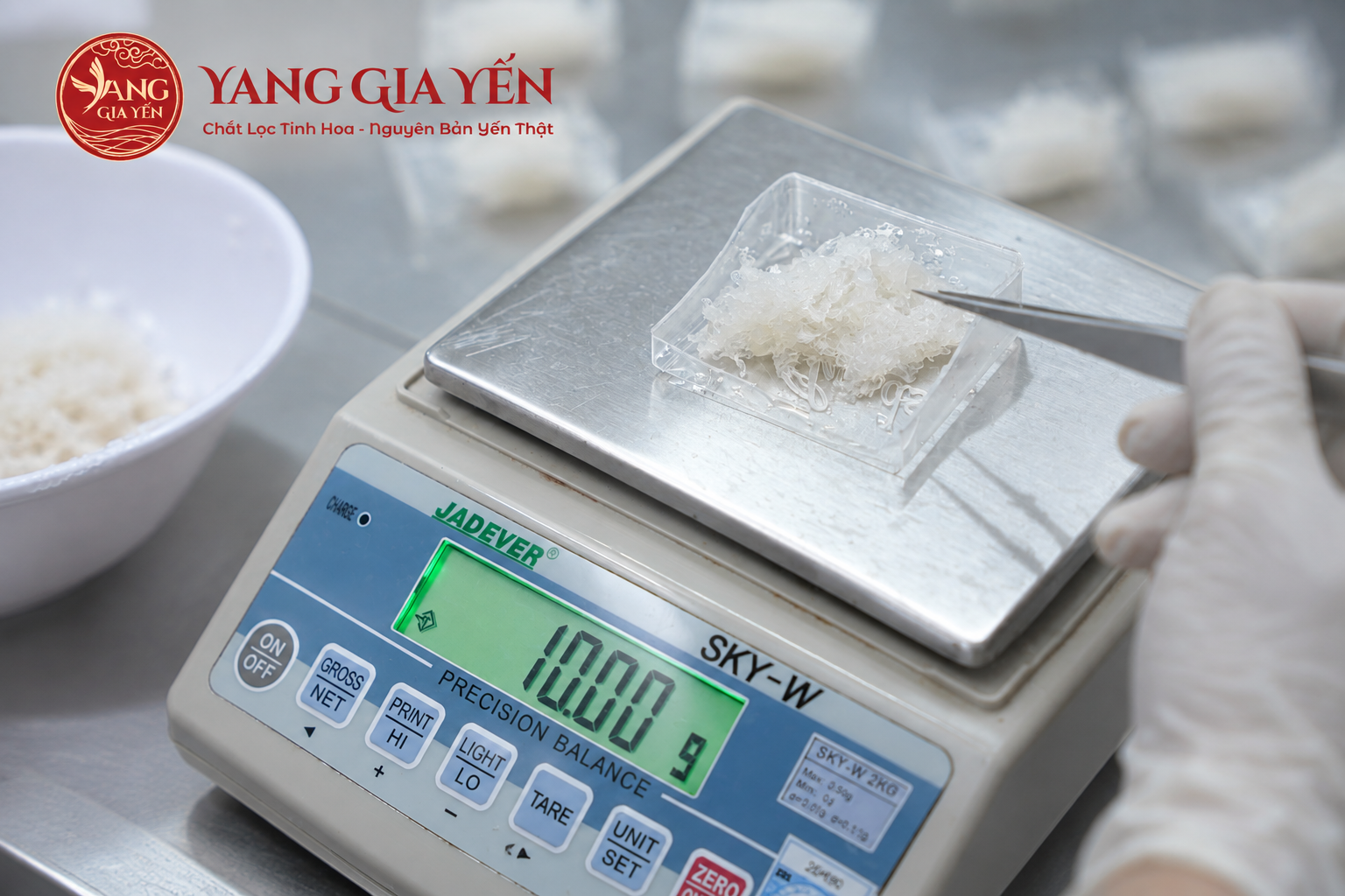 Sản phẩm YANG GIA YẾN