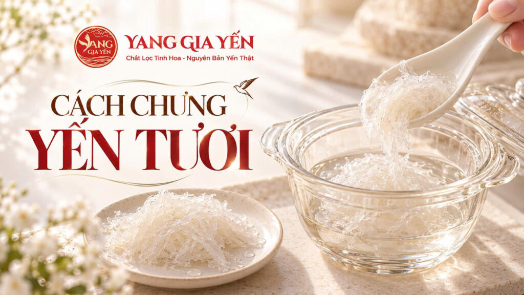 Cách chưng yến tươi