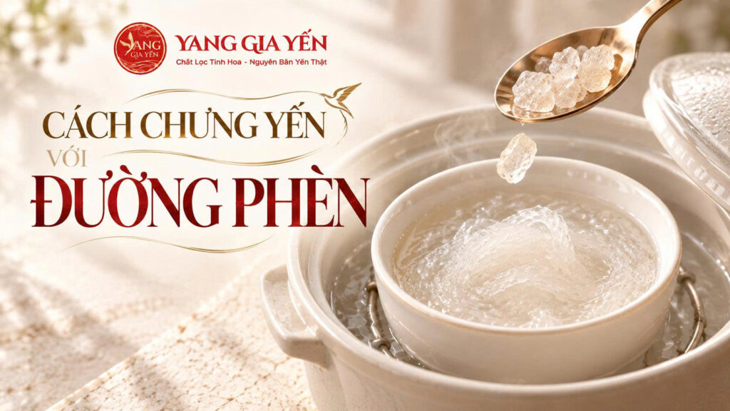 Cách chưng yến với đường phèn
