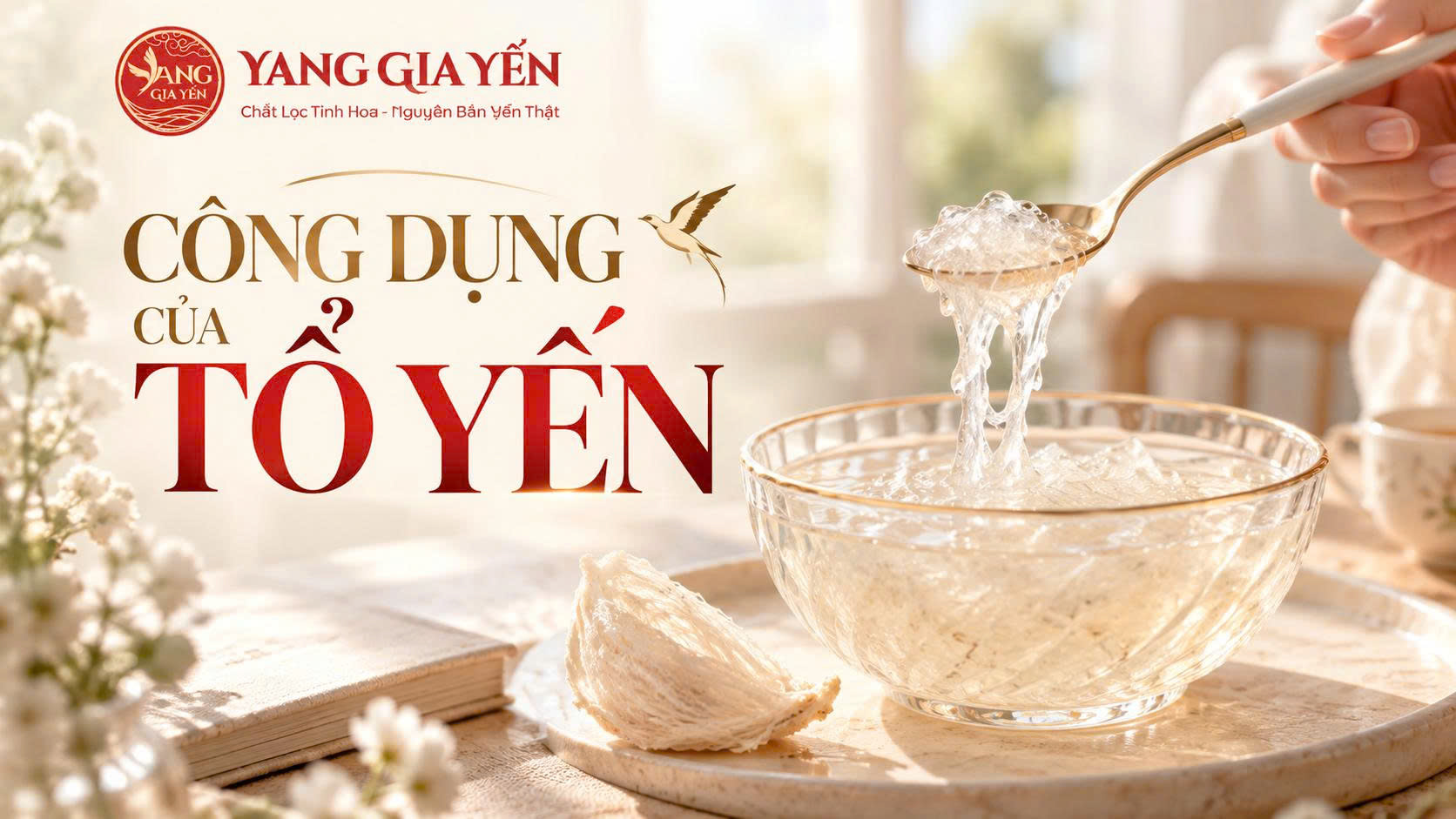 Công dụng của tổ yến Công dụng của tổ yến