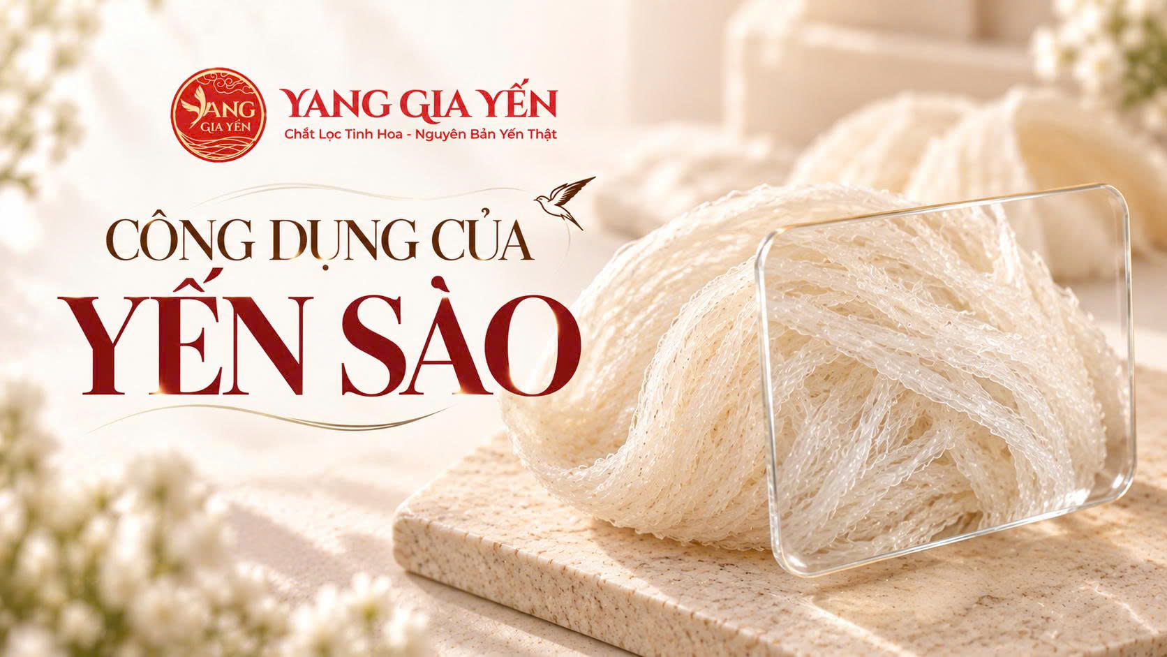Công dụng của yến sào Công dụng của yến sào