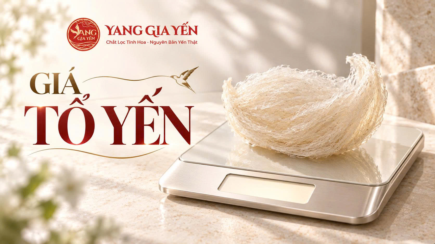 Giá tổ yến Giá tổ yến
