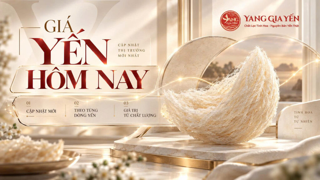 Giá yến hôm nay
