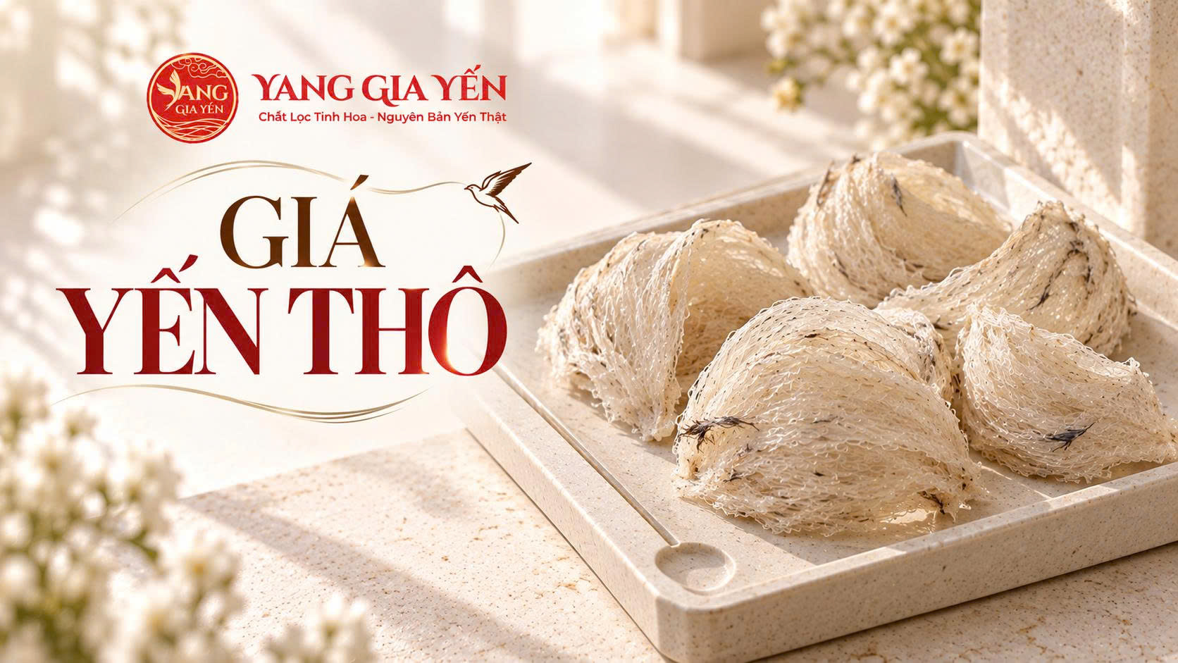 Giá yến thô Giá yến thô