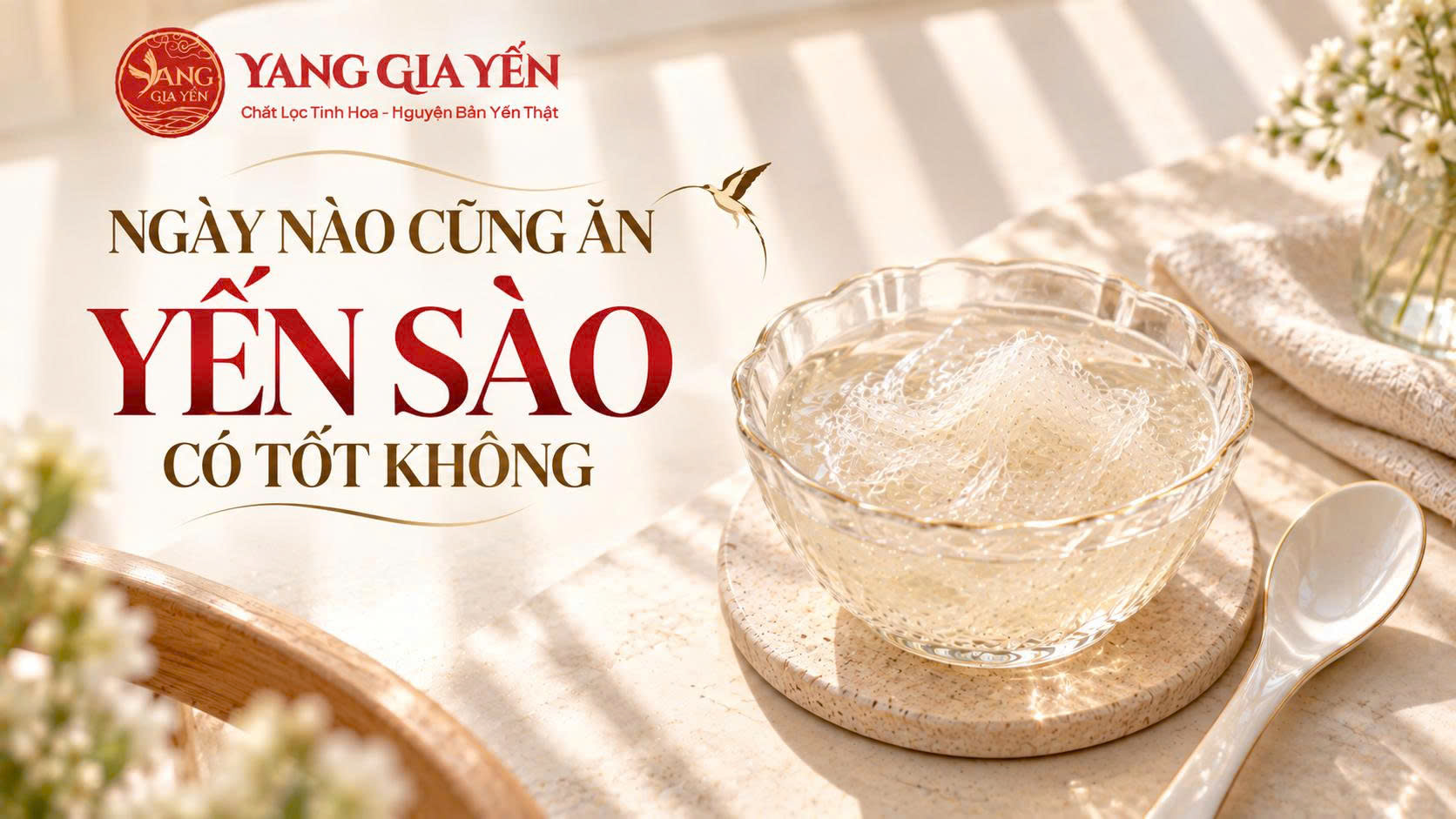 Ngày nào cũng ăn yến sào có tốt không Ngày nào cũng ăn yến sào có tốt không