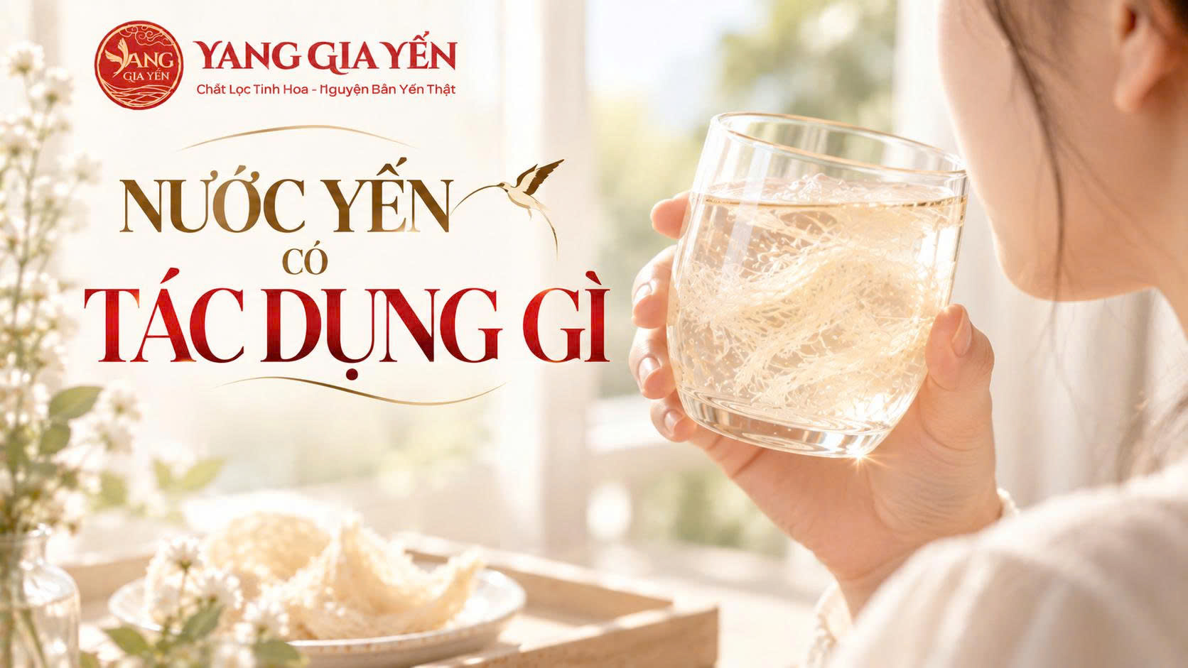 Nước yến có tác dụng gì Nước yến có tác dụng gì