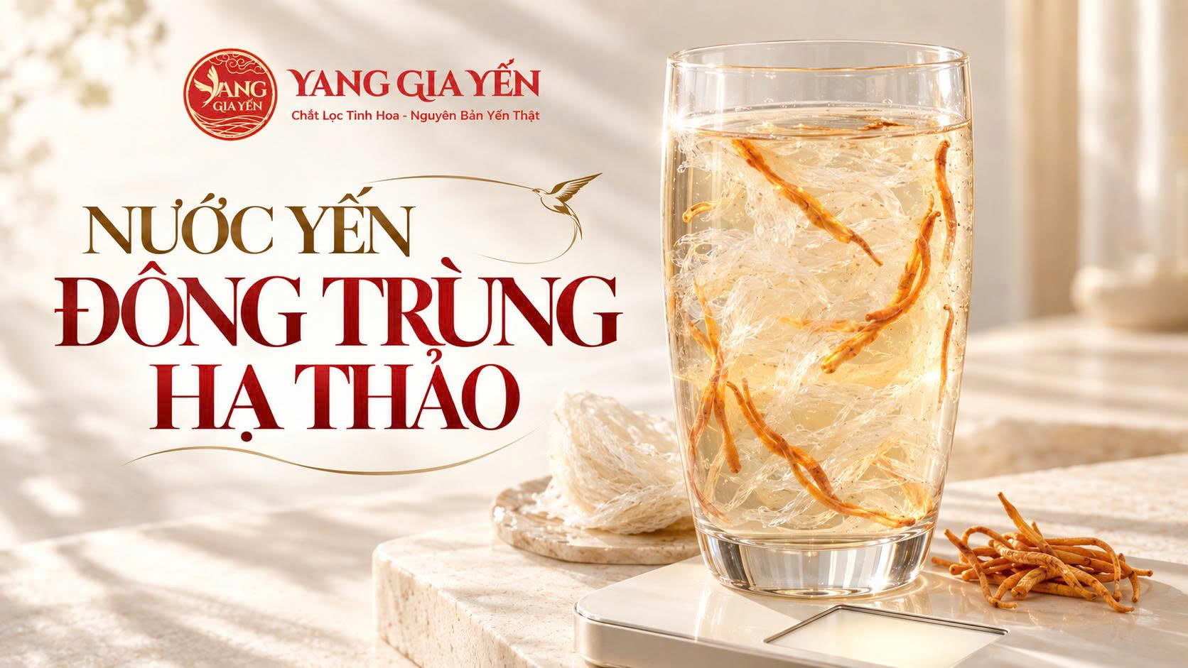 Nước yến đông trùng hạ thảo Nước yến đông trùng hạ thảo