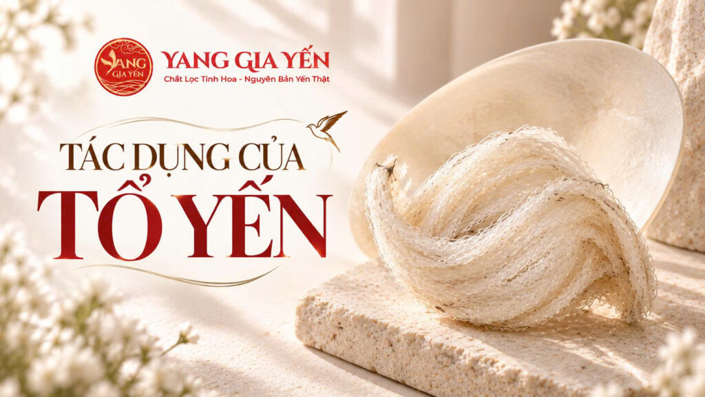 Tác dụng của tổ yến