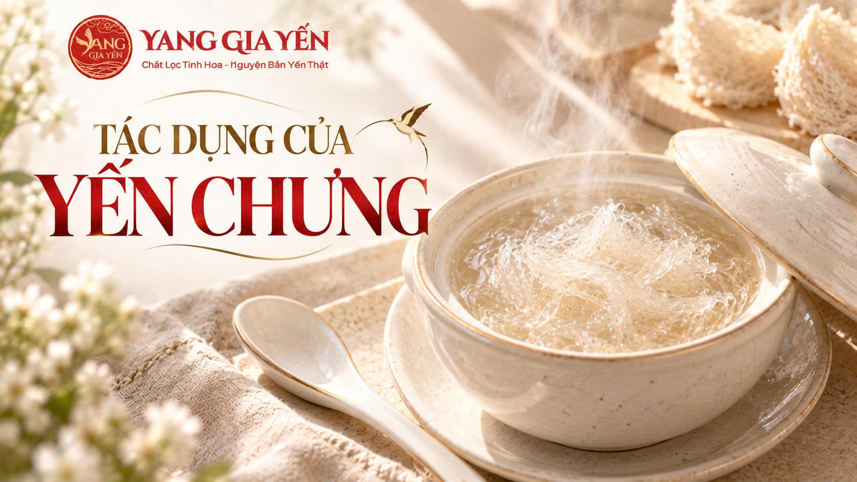 Tác dụng của yến chưng Tác dụng của yến chưng