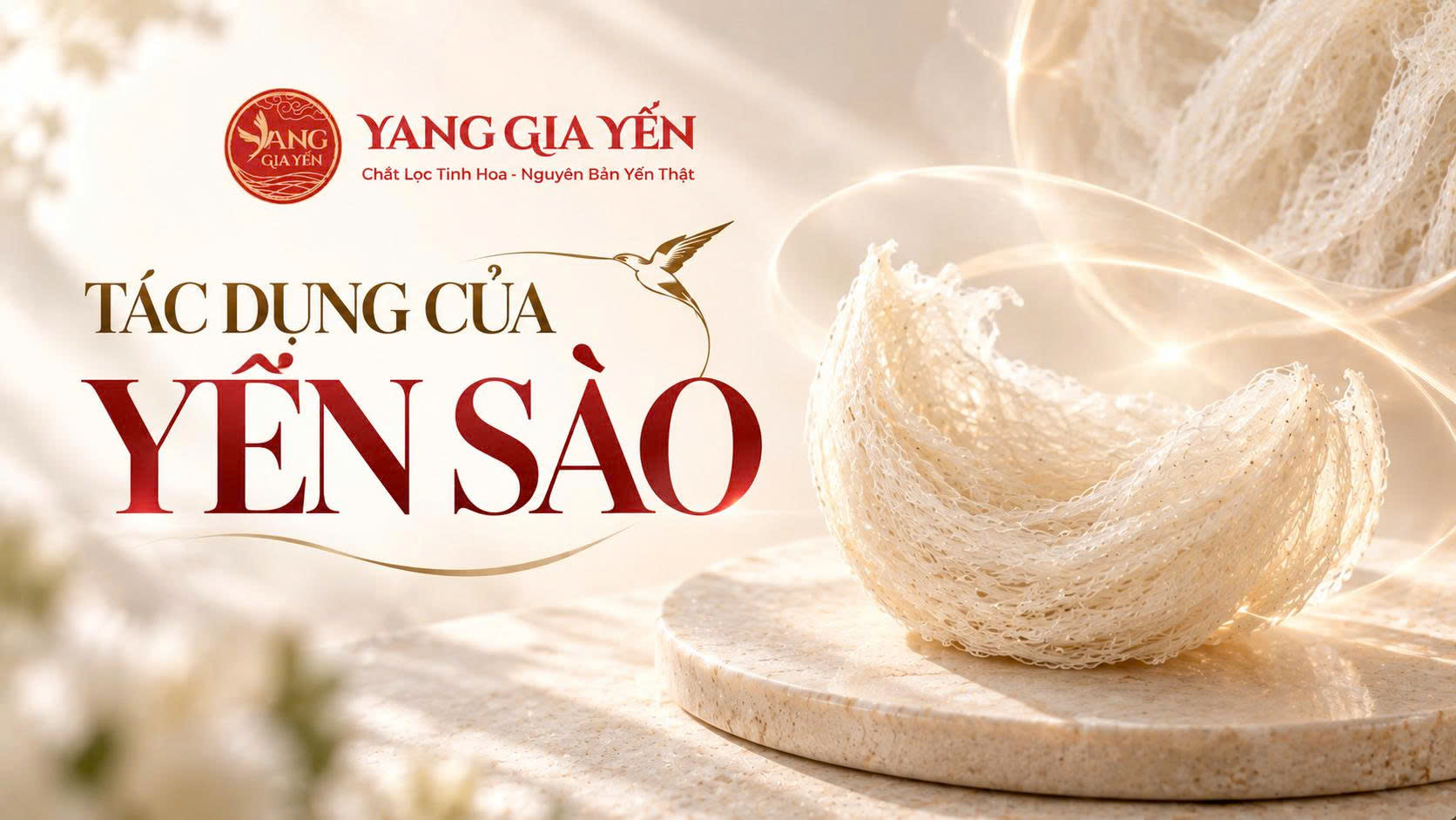 Tác dụng của yến sào Tác dụng của yến sào