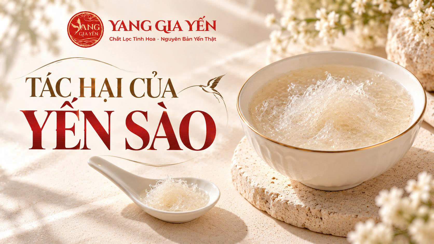 Tác hại của yến sào Tác hại của yến sào