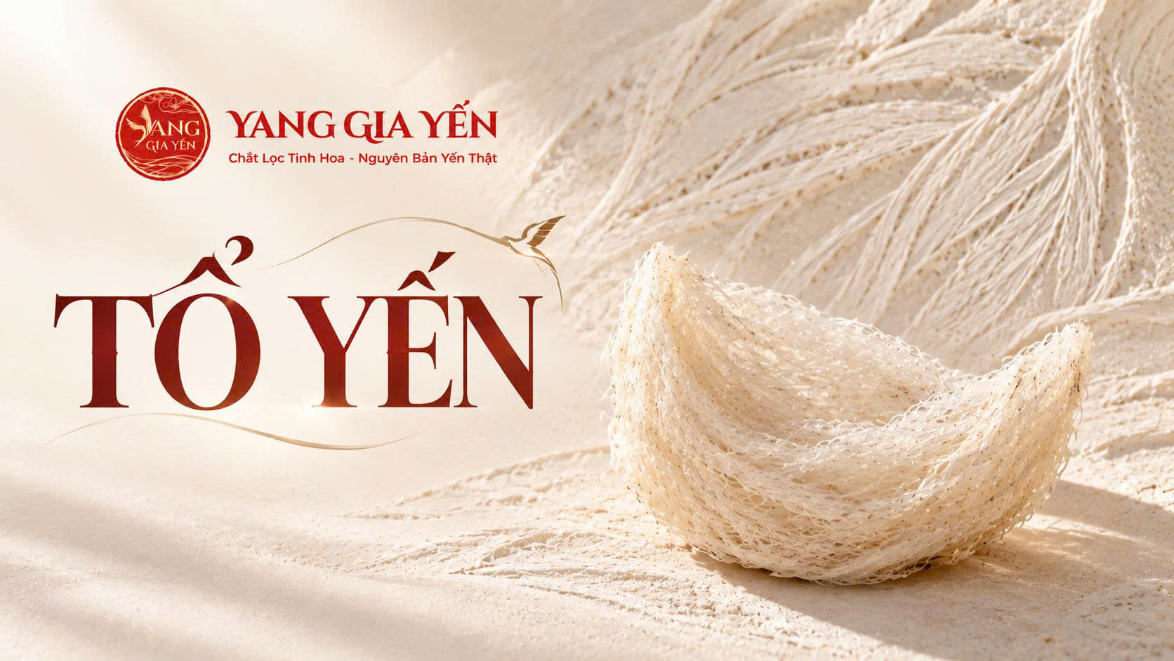 Tổ yến Tổ yến