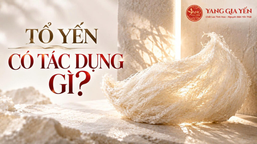 Tổ yến có tác dụng gì