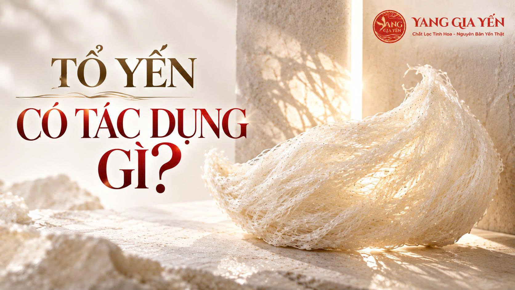 Tổ yến có tác dụng gì