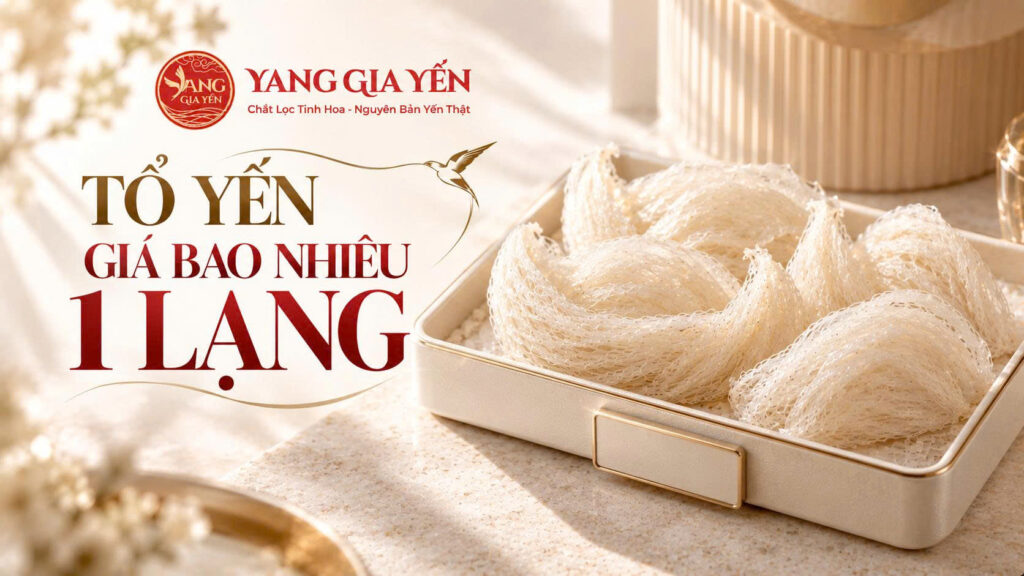 Tổ yến giá bao nhiêu 1 lạng