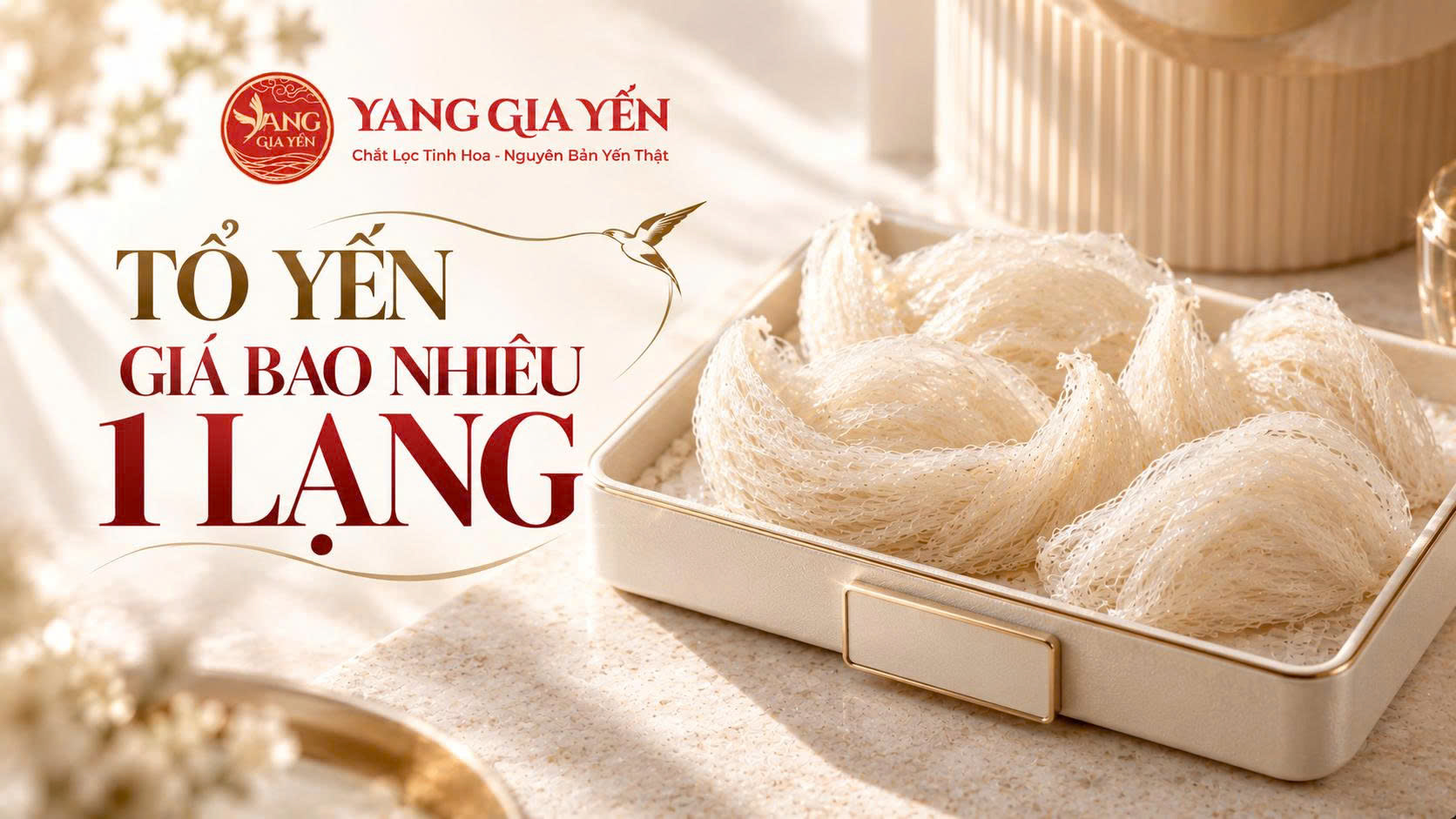 Tổ yến giá bao nhiêu 1 lạng