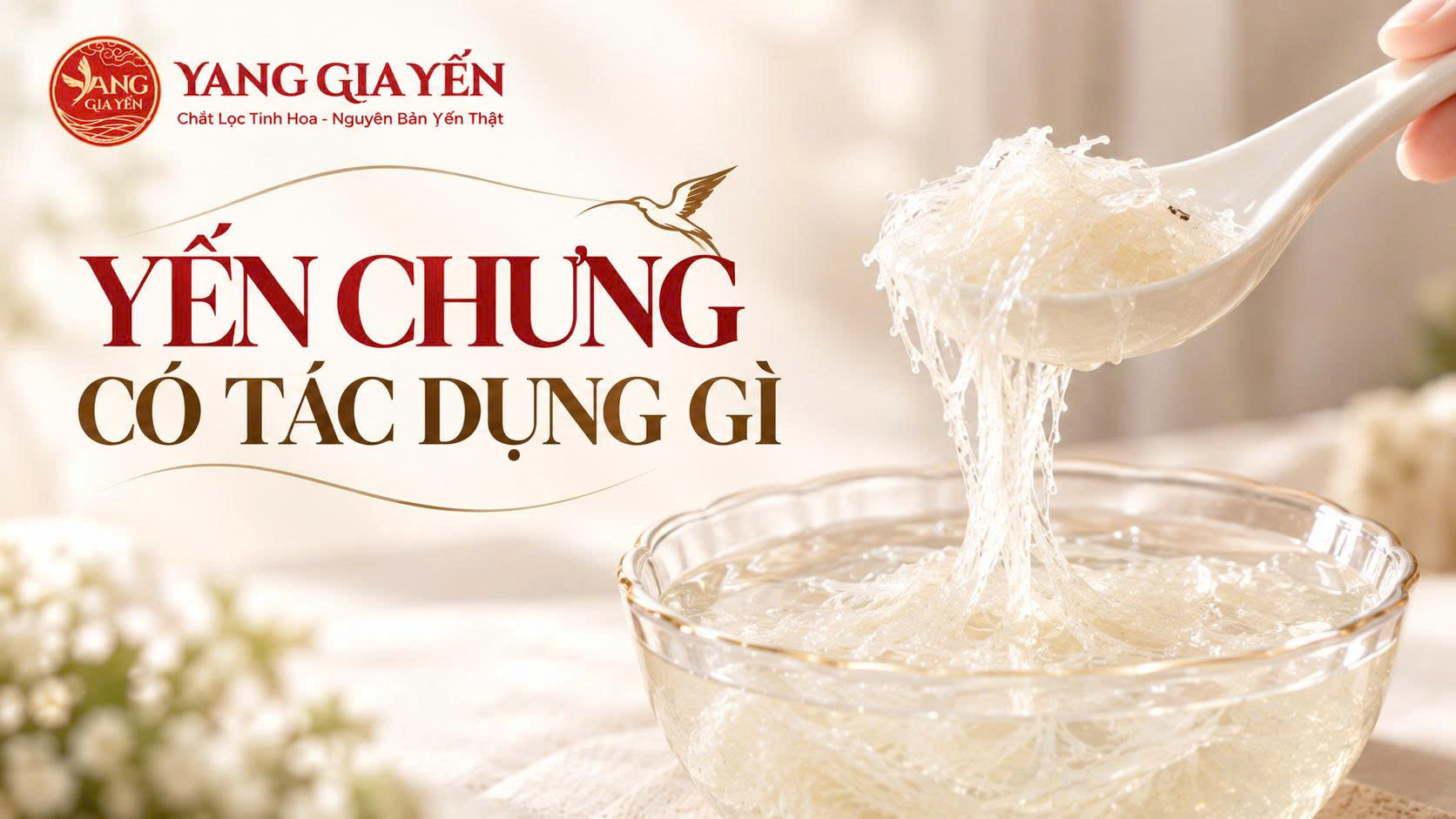 Yến chưng có tác dụng gì Yến chưng có tác dụng gì