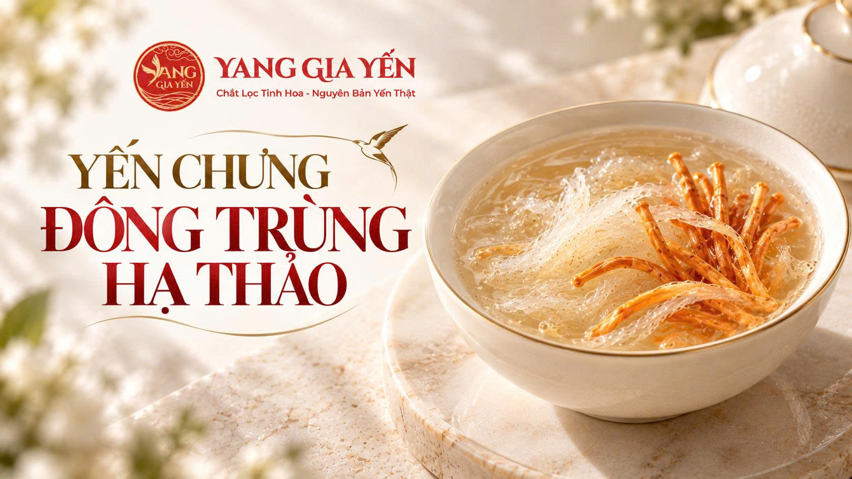 Yến chưng đông trùng hạ thảo Yến chưng đông trùng hạ thảo