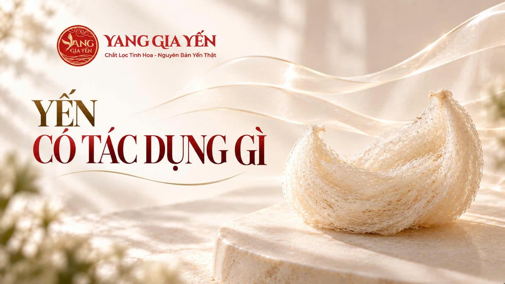 Yến có tác dụng gì Yến có tác dụng gì