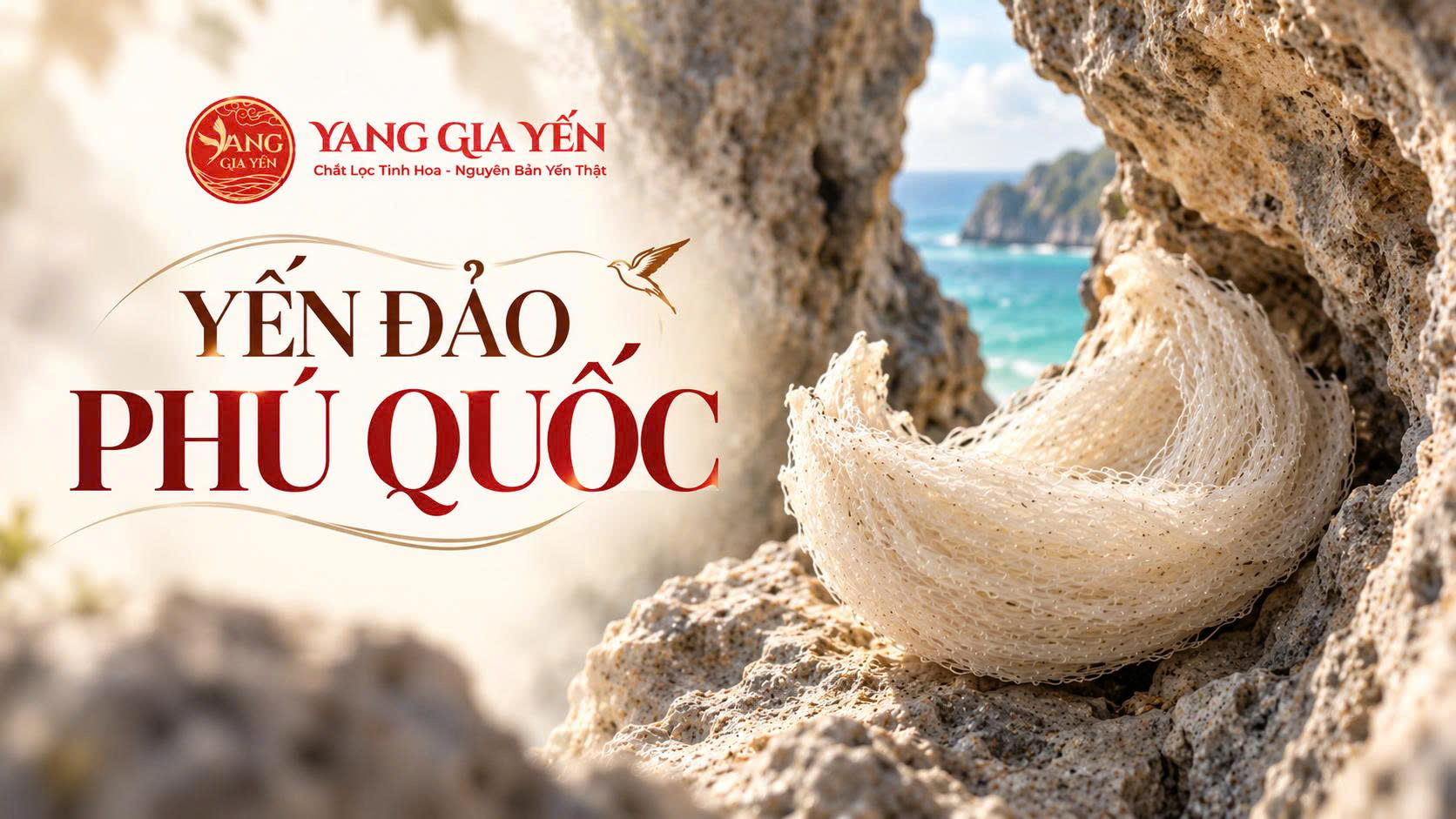 Yến đảo phú quốc Yến đảo phú quốc