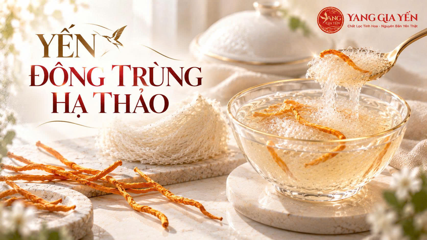 Yến đông trùng hạ thảo Yến đông trùng hạ thảo