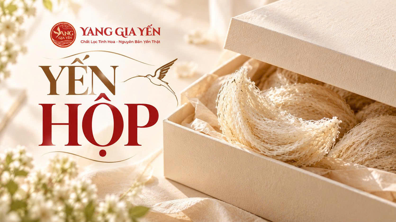 Yến hộp Yến hộp