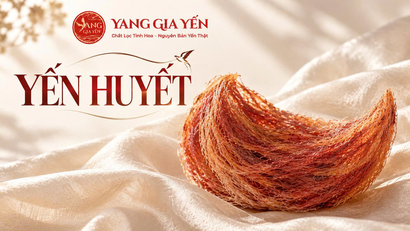 Yến huyết Yến huyết
