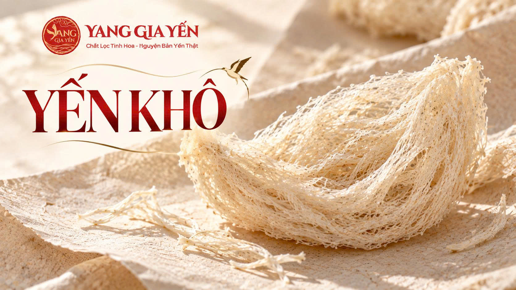Yến khô Yến khô