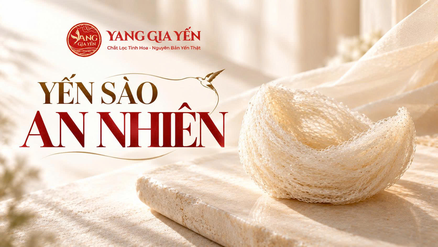 Yến sào an nhiên Yến sào an nhiên