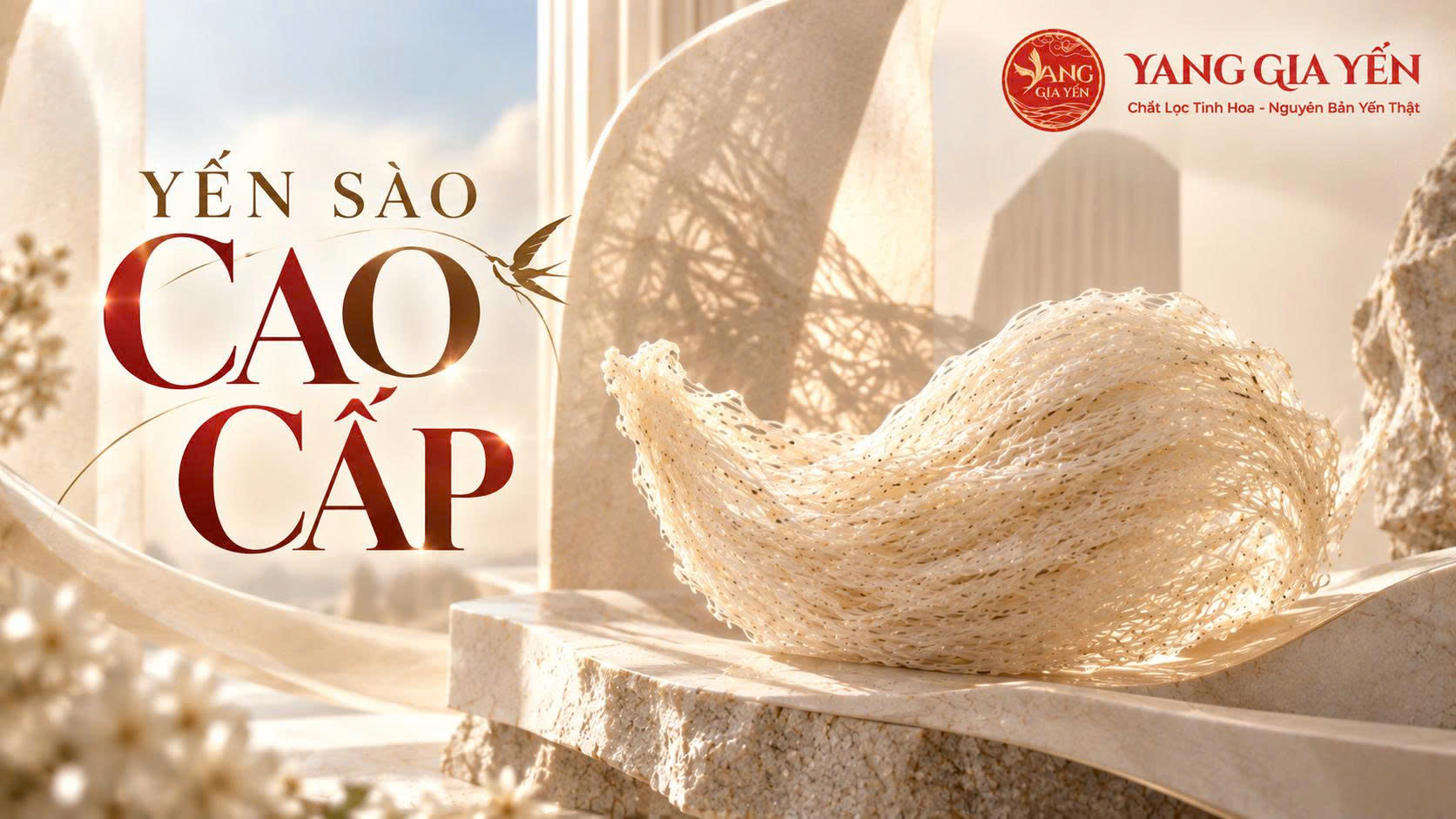 Yến sào cao cấp Yến sào cao cấp