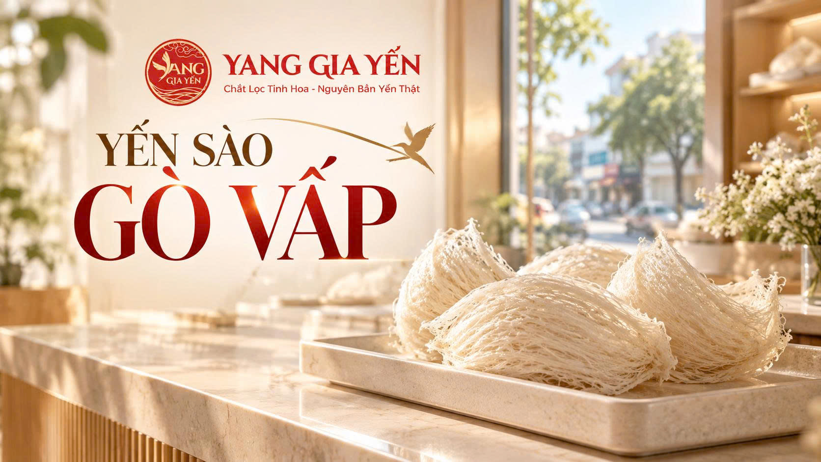 Yến sào gò vấp Yến sào gò vấp