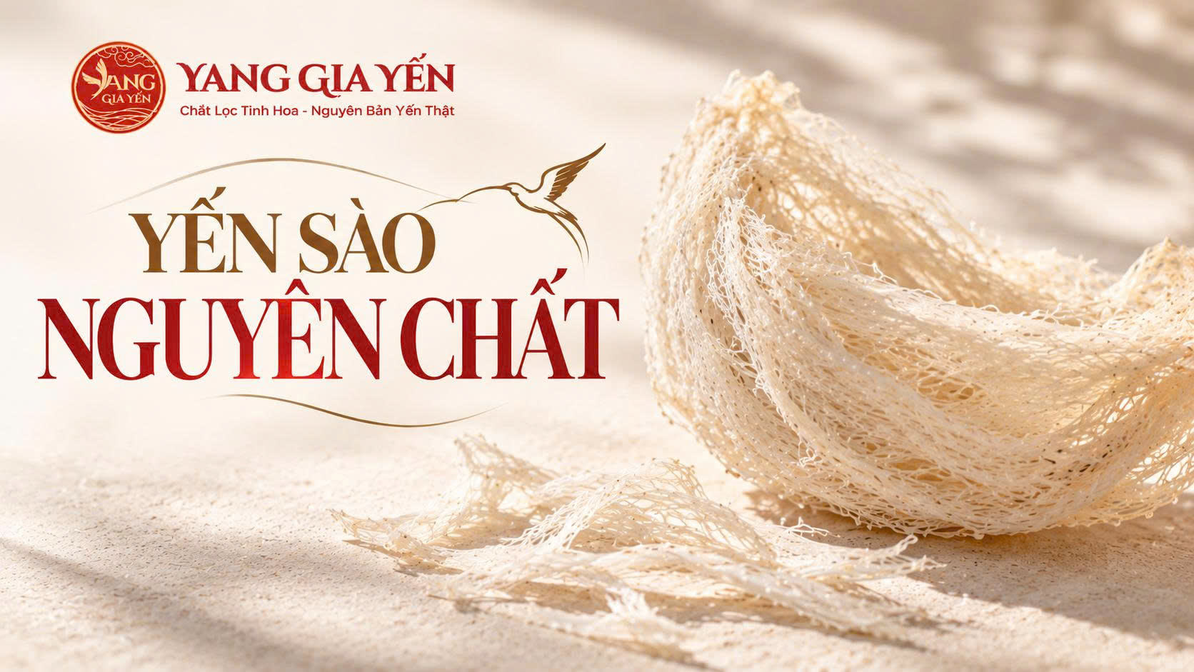 Yến sào nguyên chất Yến sào nguyên chất