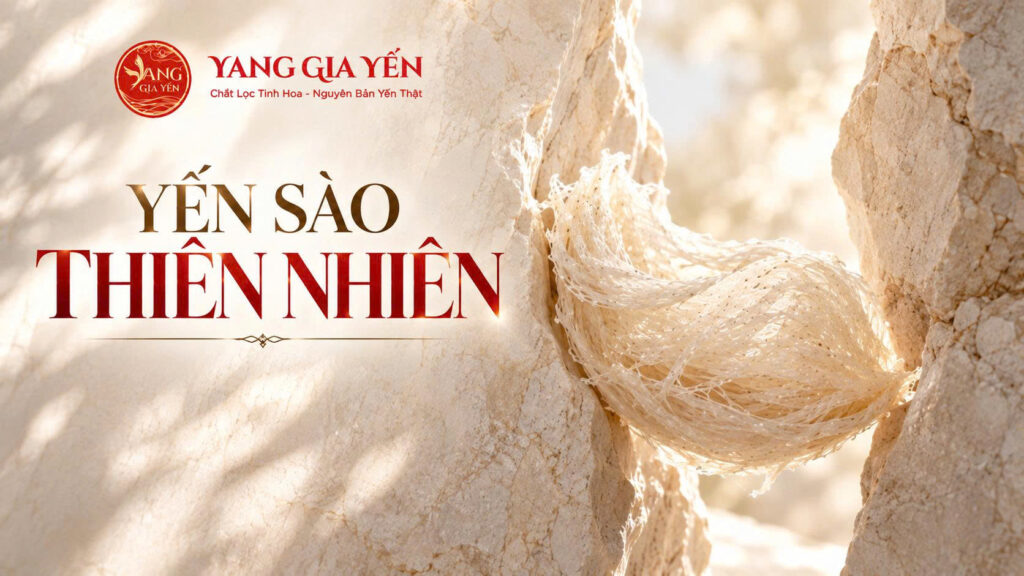 Yến sào thiên nhiên
