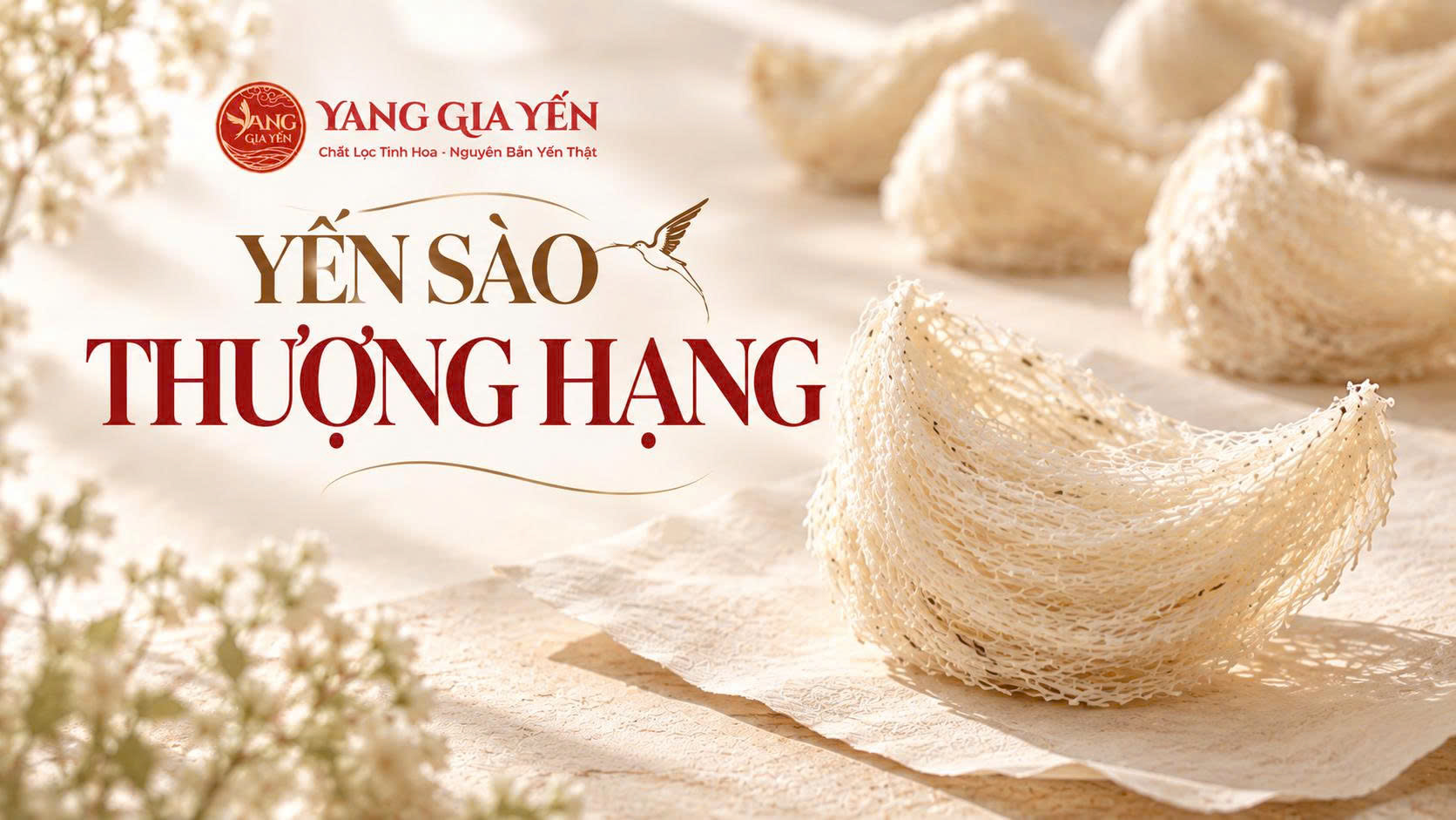 Yến sào thượng hạng Yến sào thượng hạng