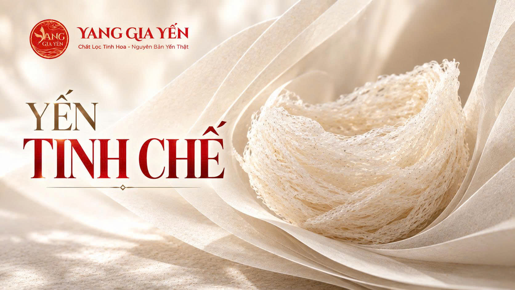 Yến tinh chế
