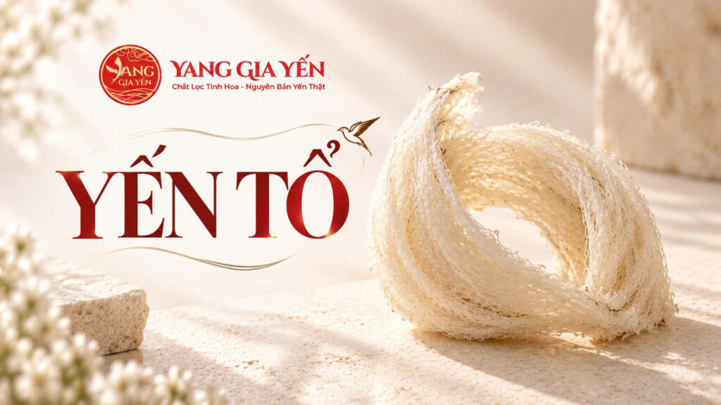 Yến tổ