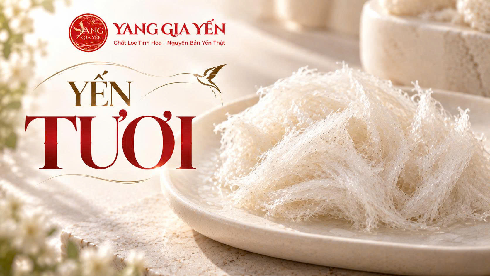 Yến tươi Yến tươi