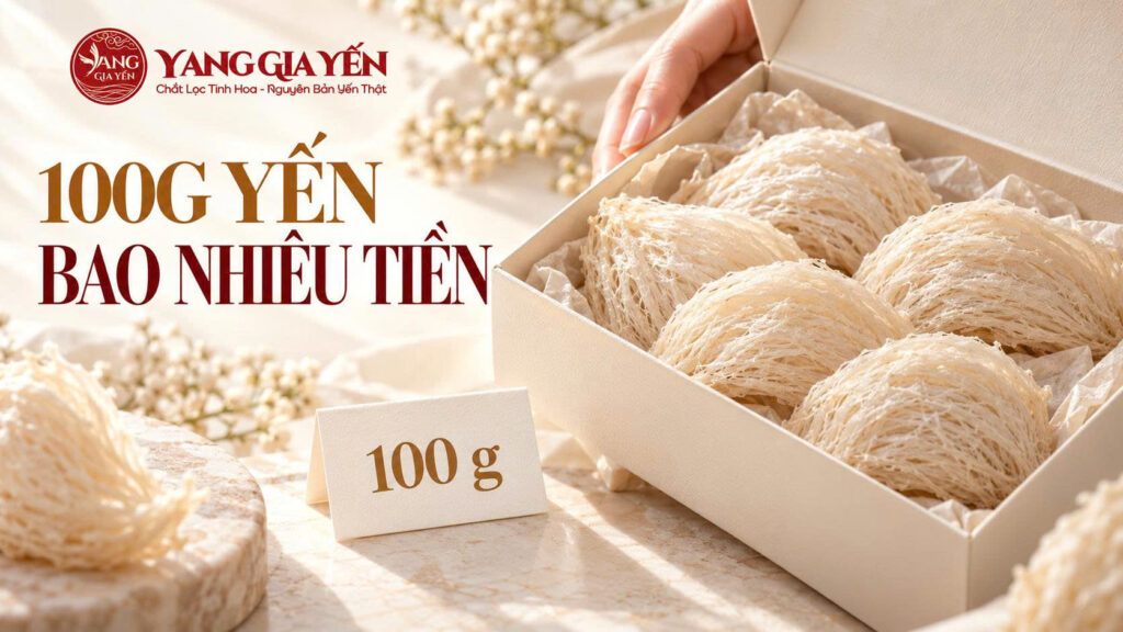 100g yến bao nhiêu tiền