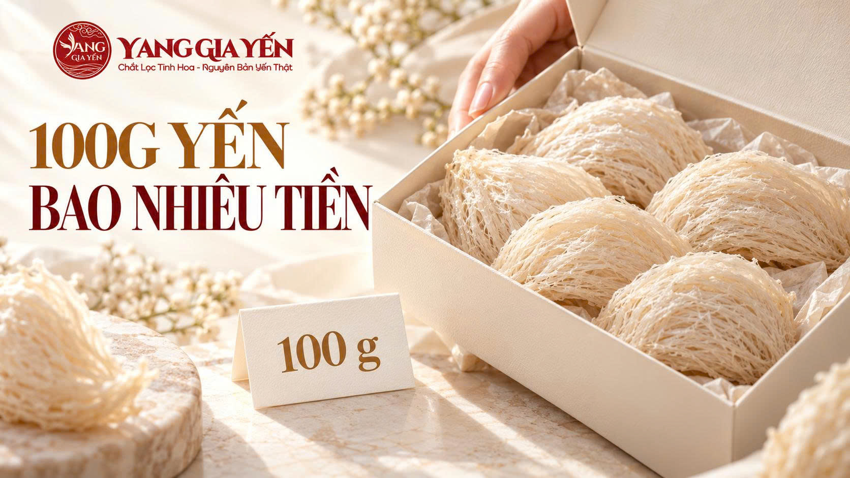 100g yến bao nhiêu tiền 100g yến bao nhiêu tiền