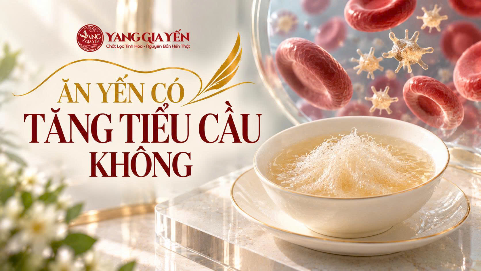 Ăn yến có tăng tiểu cầu không