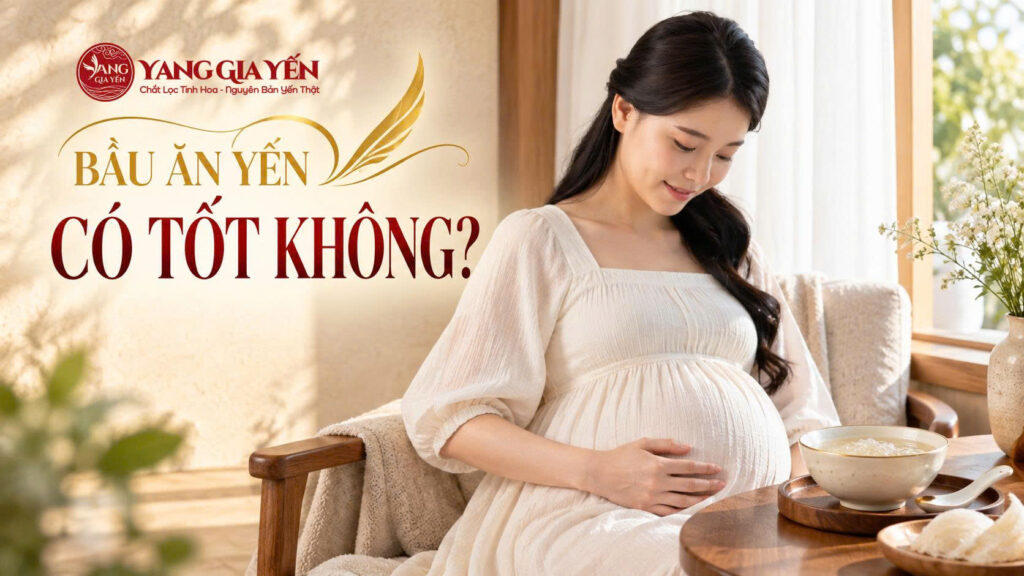 Bầu ăn yến có tốt không
