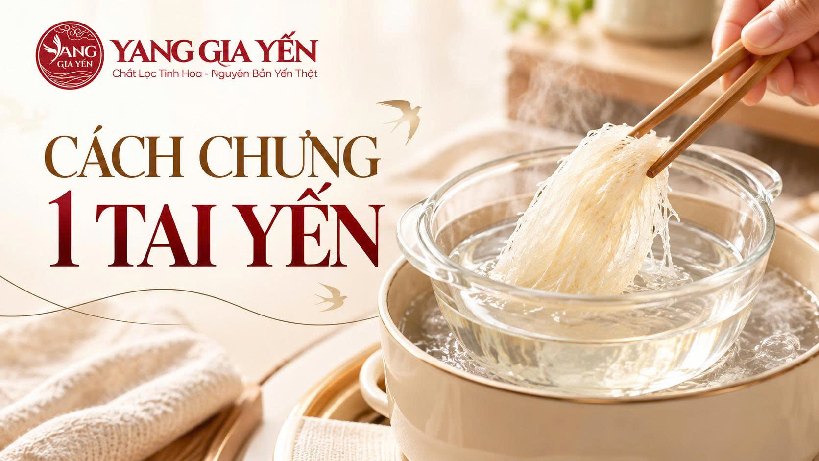 Cách chưng 1 tai yến Cách chưng 1 tai yến