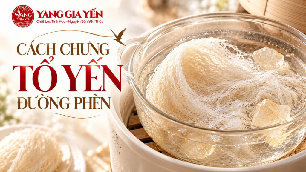 Cách chưng tổ yến đường phèn
