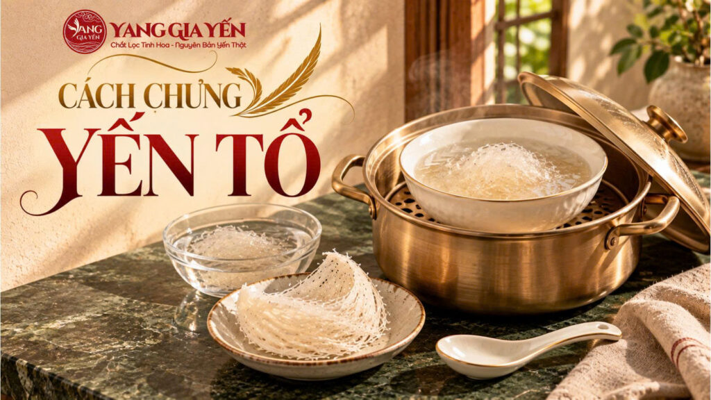 Cách chưng yến tổ