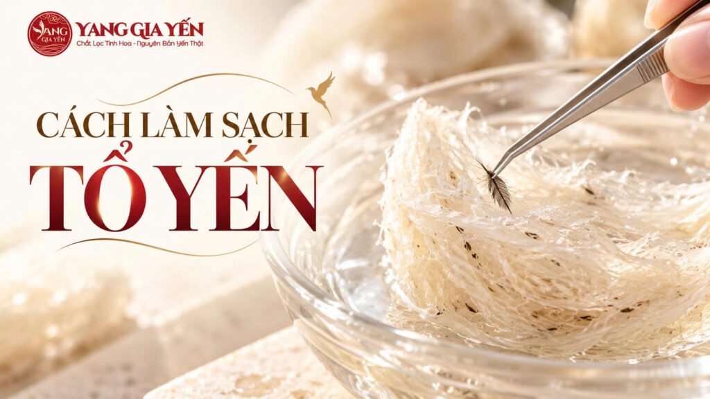 Cách làm sạch tổ yến