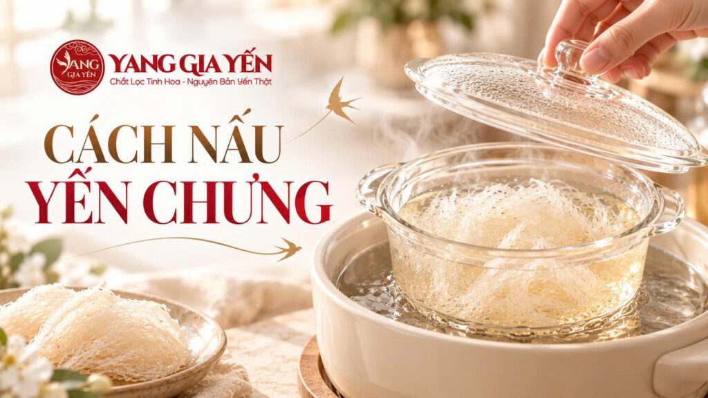 Cách nấu yến chưng