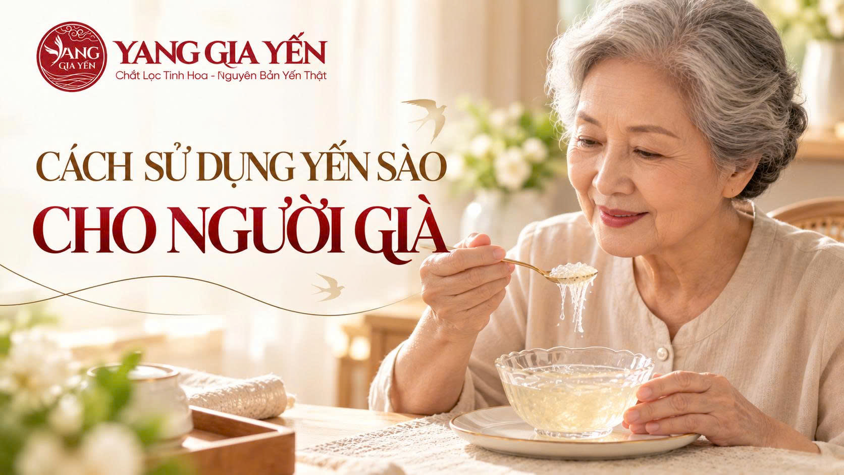 Cách sử dụng yến sào cho người già Cách sử dụng yến sào cho người già